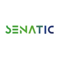LOGOTIPO SENATIC