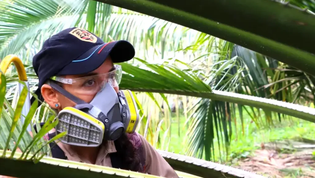 Trabajo decente en la palma de aceite
