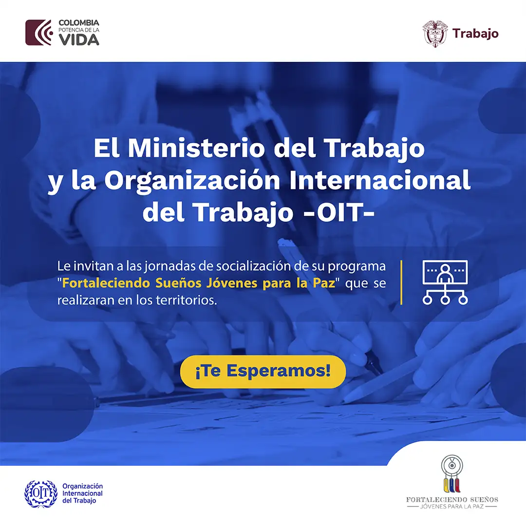 Jornadas de Socialización OV