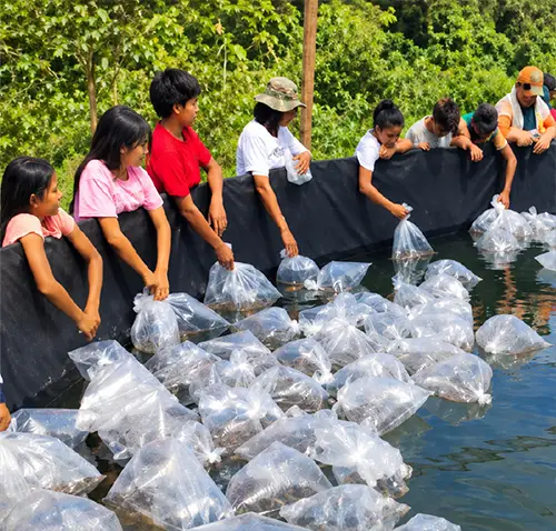 En un entorno rural un grupo de niños, jóvenes y personas adultas participa en una jornada comunitaria alrededor de un estanque de piscicultura al aire libre